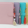 MacaronBinders_6 Binders : Macaron Budget Binders