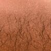 2005231 - Cricut Premium Vinyl perm 30 5 cm x 122 cm (Textured Metallic Copper)