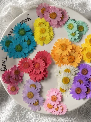 Dried Flowers Resin Supplies : Dried Flower Pressed Flower
