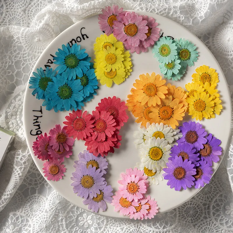 Resin Supplies : Dried Flower Pressed Flower