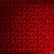 2006628 : Cricut Premium Vinyl Art Deco True Red 12X48 (Maker / Explore)