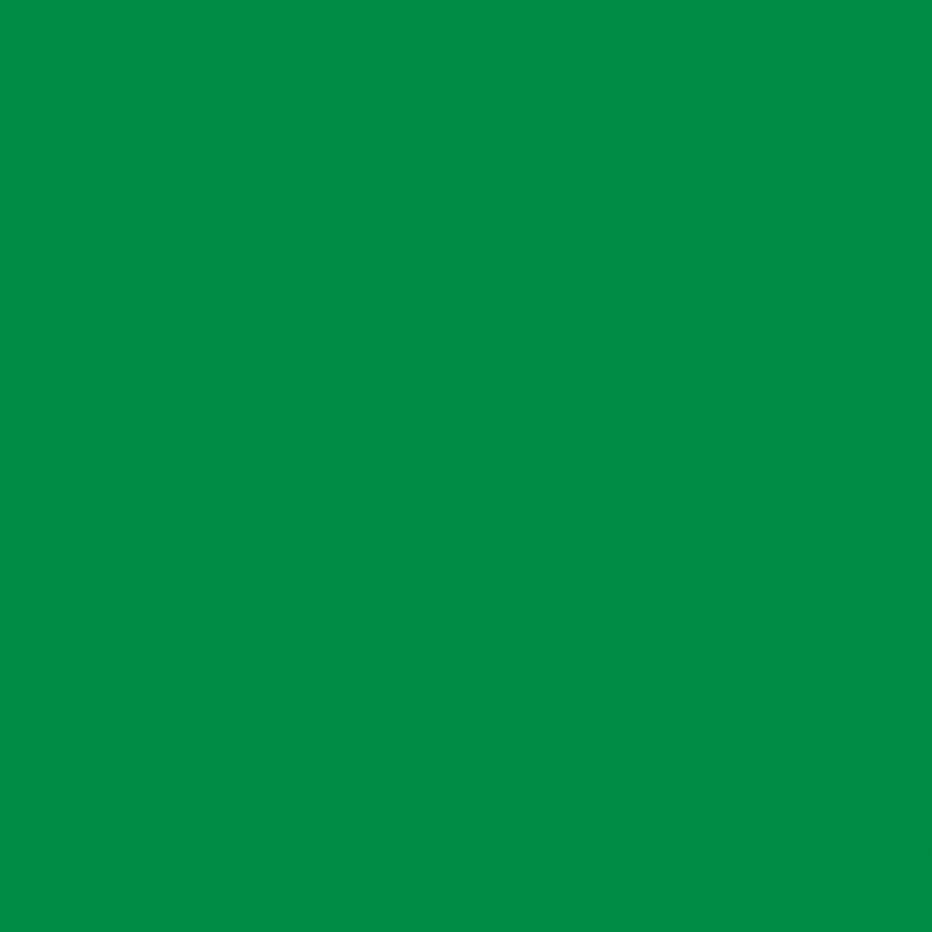 2004312 - Cricut Premium Vinyl Removable 30 5 cm x 122 cm (Green)