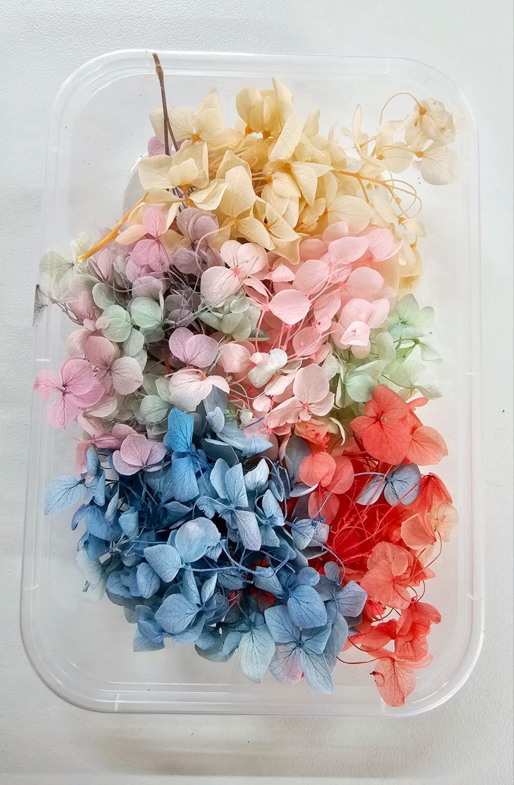 DF10A Epoxy, Soap & Candle Art : Dried Flowers (DF10)