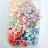 DF10B Epoxy, Soap & Candle Art : Dried Flowers (DF10)
