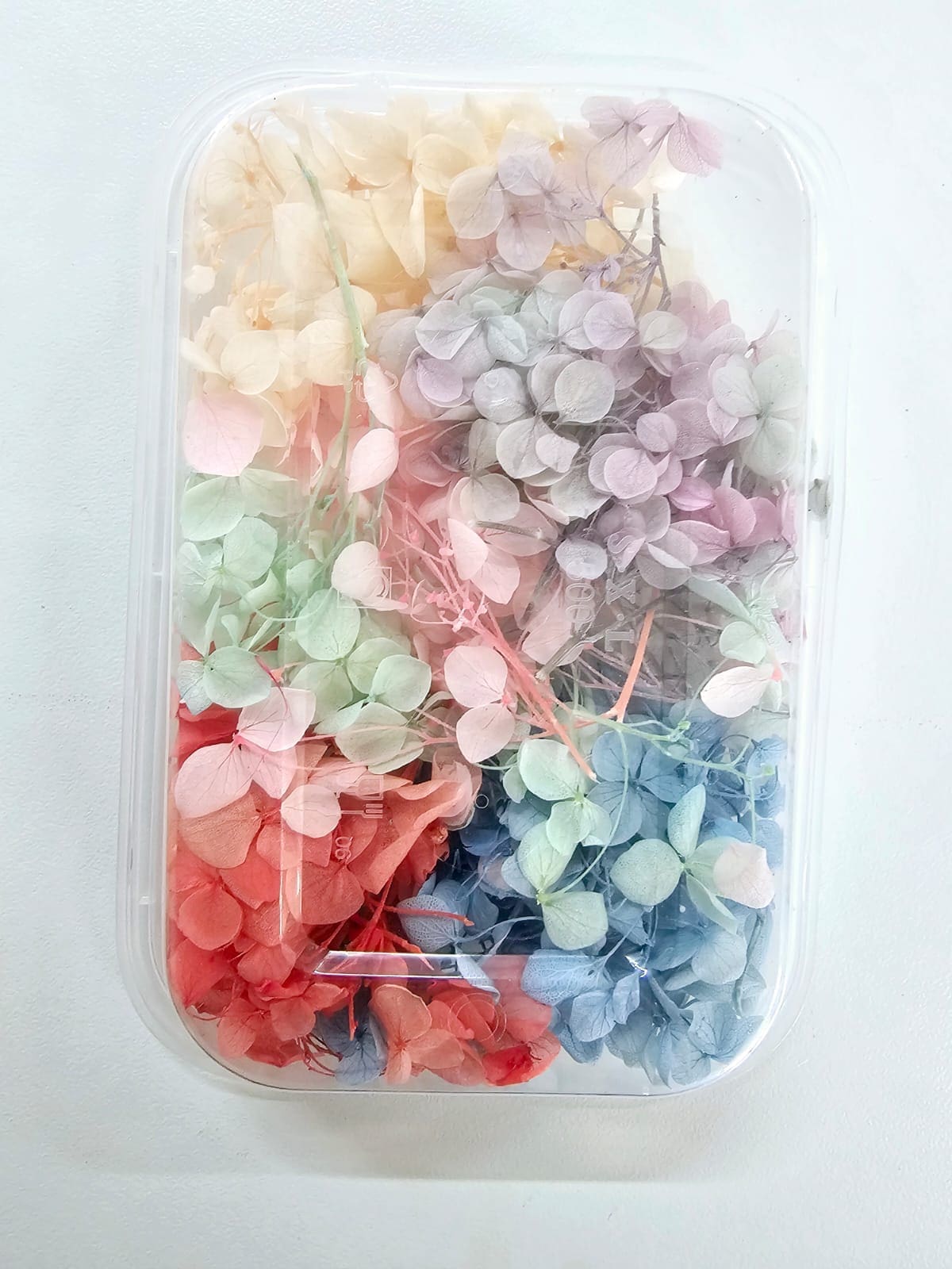 DF10B Epoxy, Soap & Candle Art : Dried Flowers (DF10)