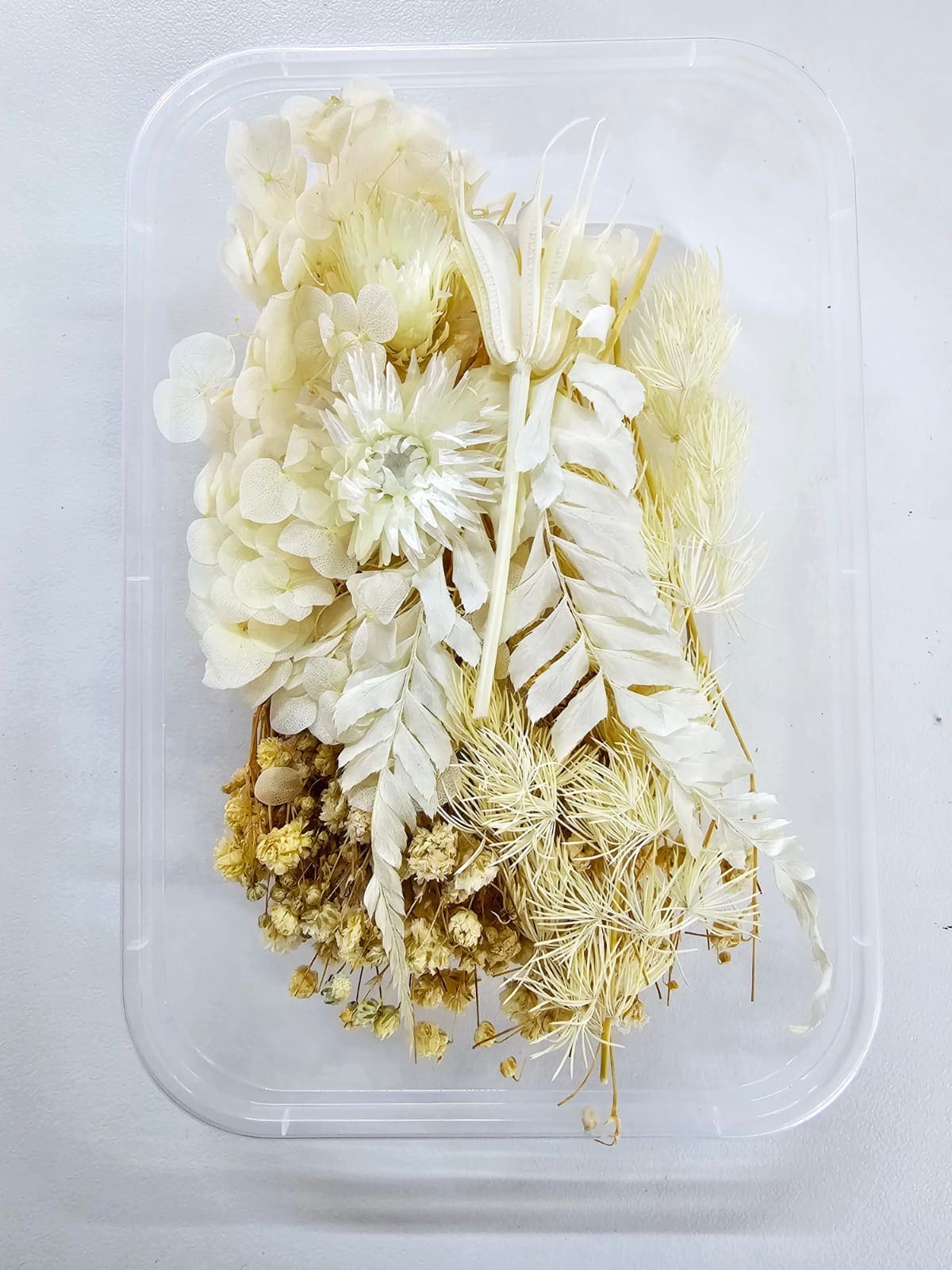 DF11A Epoxy, Soap & Candle Art : Dried Flowers (DF11)