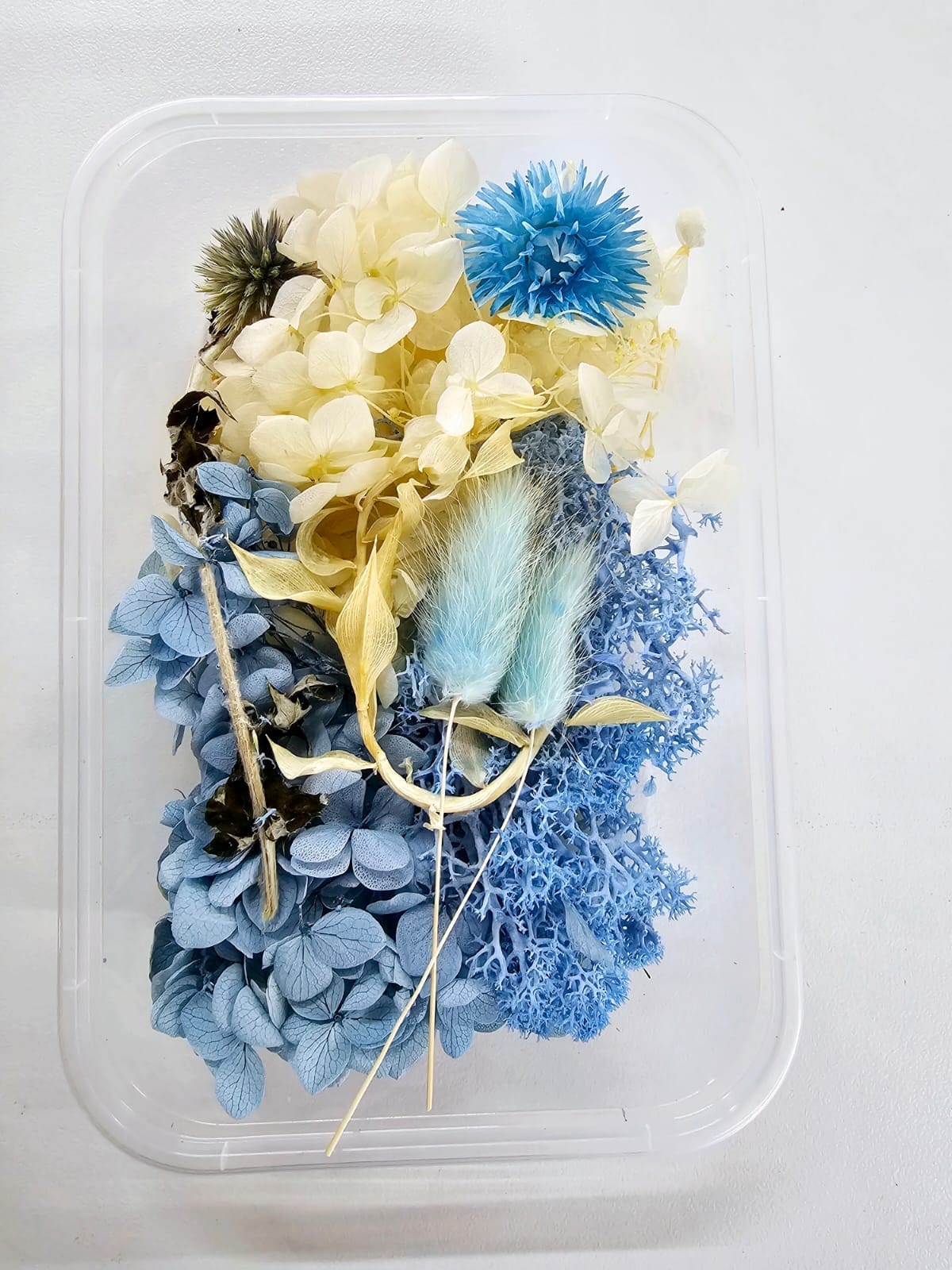 DF13A Epoxy, Soap & Candle Art : Dried Flowers (DF13)