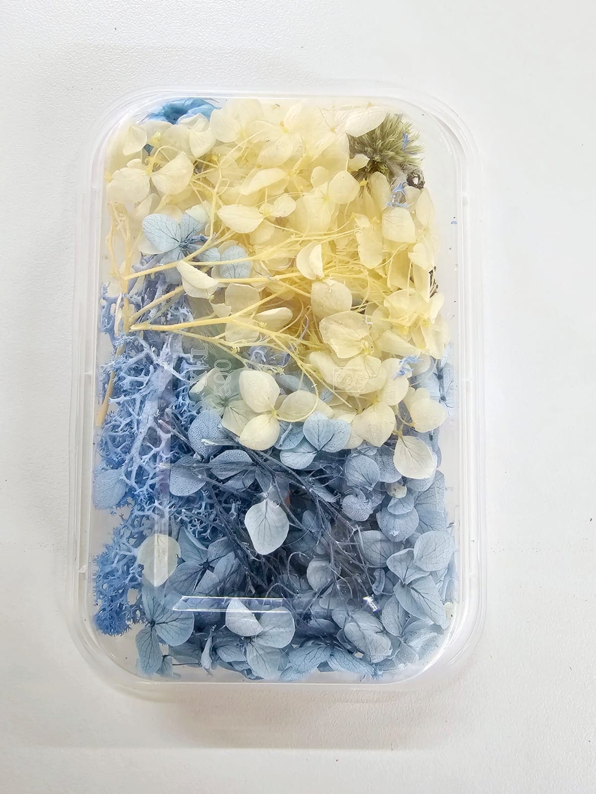 DF13B Epoxy, Soap & Candle Art : Dried Flowers (DF13)
