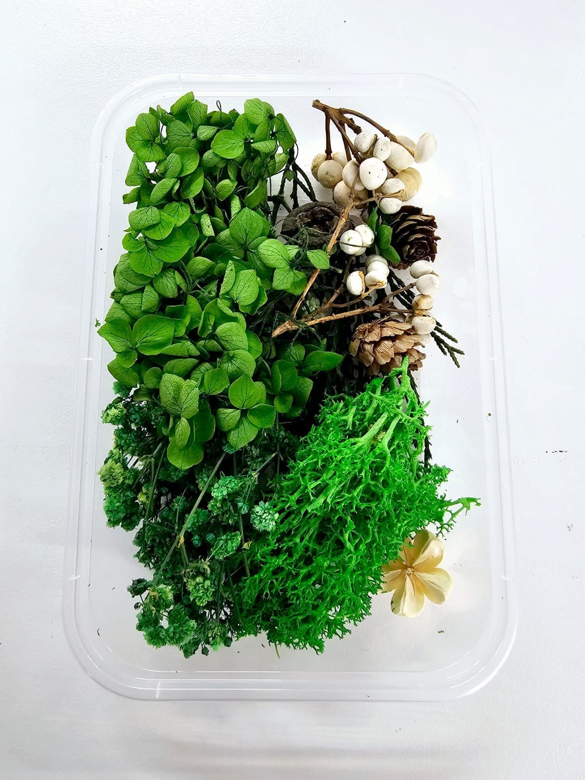 DF14A Epoxy, Soap & Candle Art : Dried Flowers (DF14)