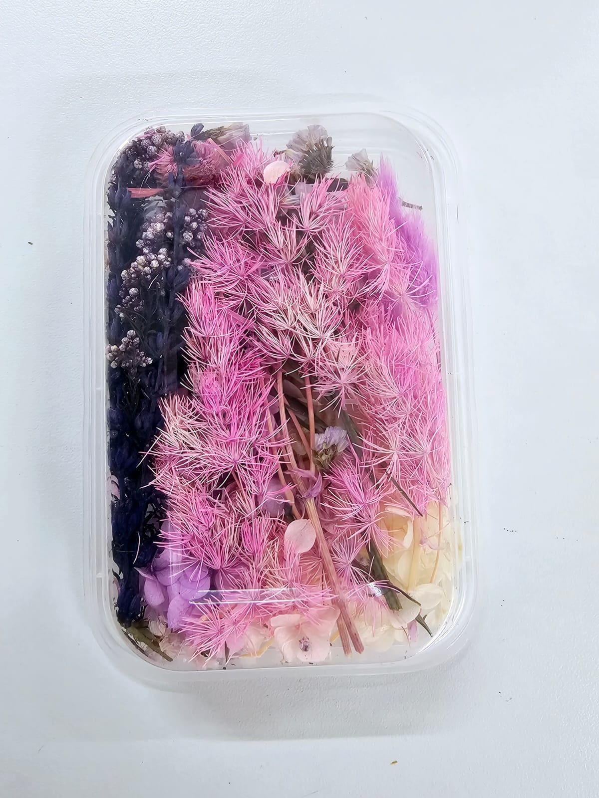 DF18B Epoxy, Soap & Candle Art : Dried Flowers (DF18)