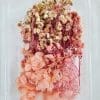 DF1A Epoxy, Soap & Candle Art : Dried Flowers (DF1)