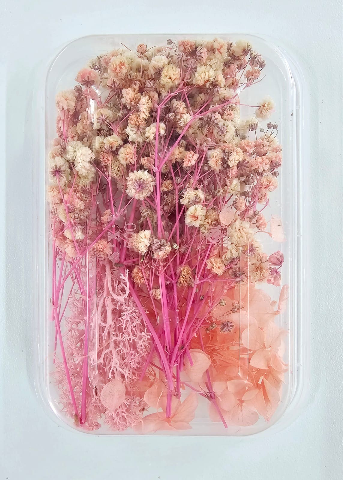 DF1B Epoxy, Soap & Candle Art : Dried Flowers (DF1)