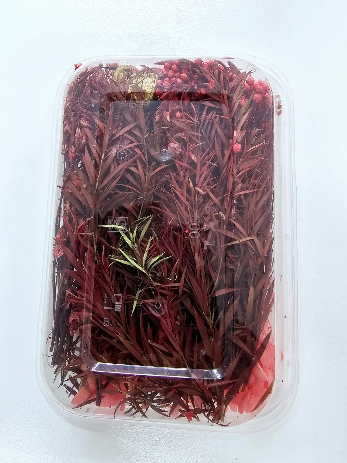 Epoxy, Soap & Candle Art : Dried Flowers (DF21)