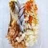 Epoxy, Soap & Candle Art : Dried Flowers (DF23)
