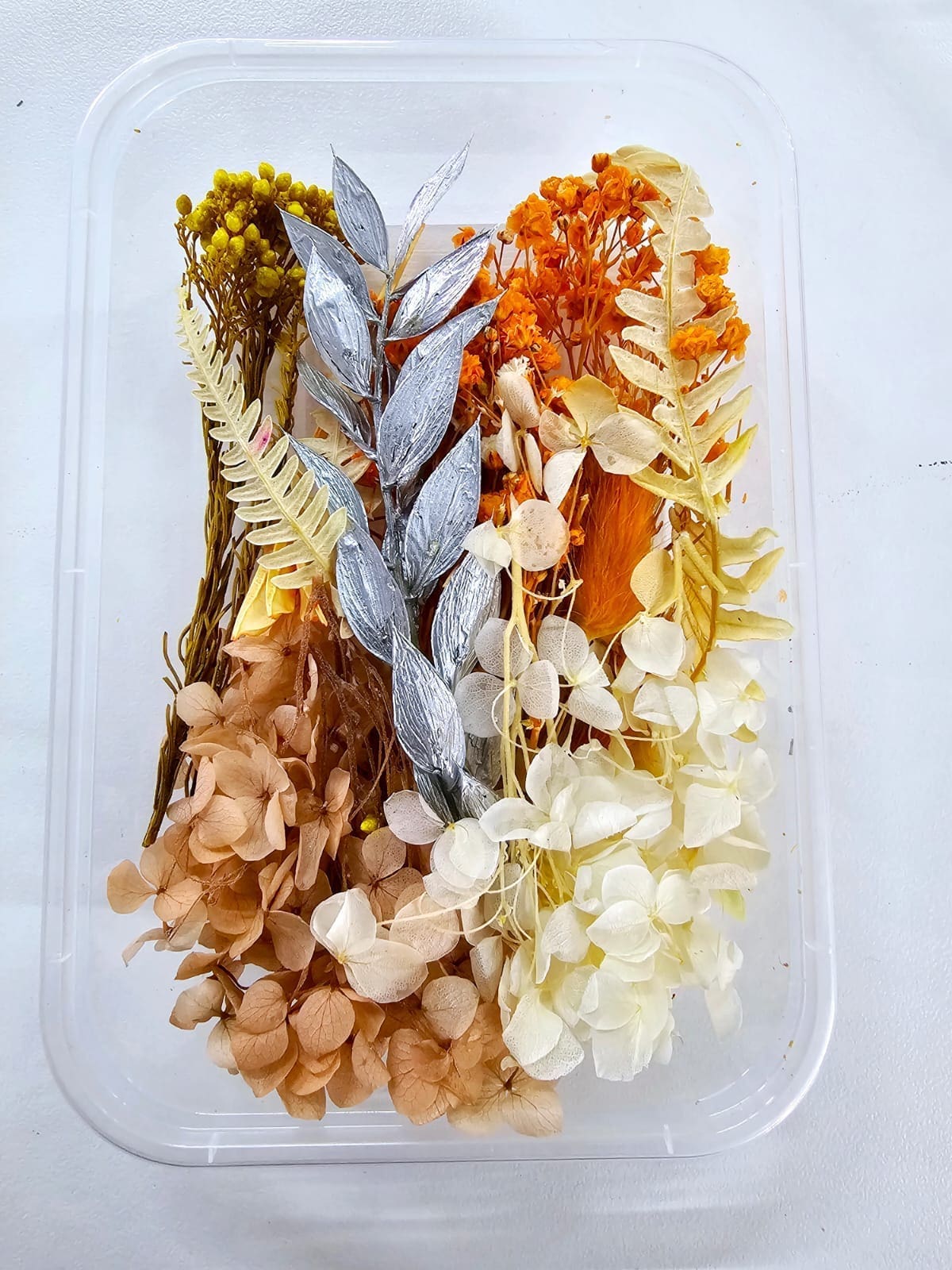 DF23A Epoxy, Soap & Candle Art : Dried Flowers (DF23)