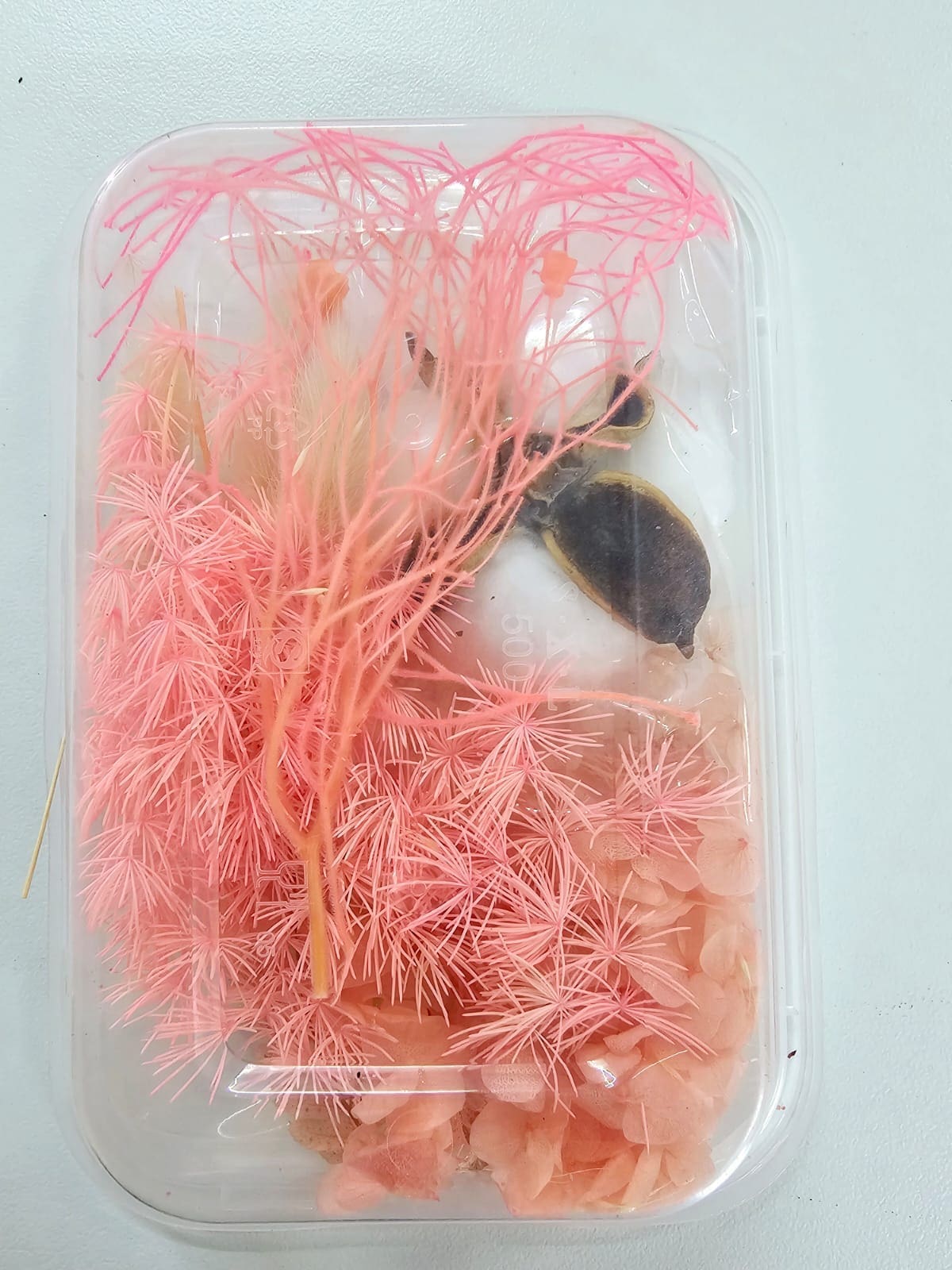 DF3B Epoxy, Soap & Candle Art : Dried Flowers (DF3)