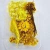 DF4A Epoxy, Soap & Candle Art : Dried Flowers Dried (DF4)