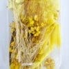 DF4B Epoxy, Soap & Candle Art : Dried Flowers Dried (DF4)
