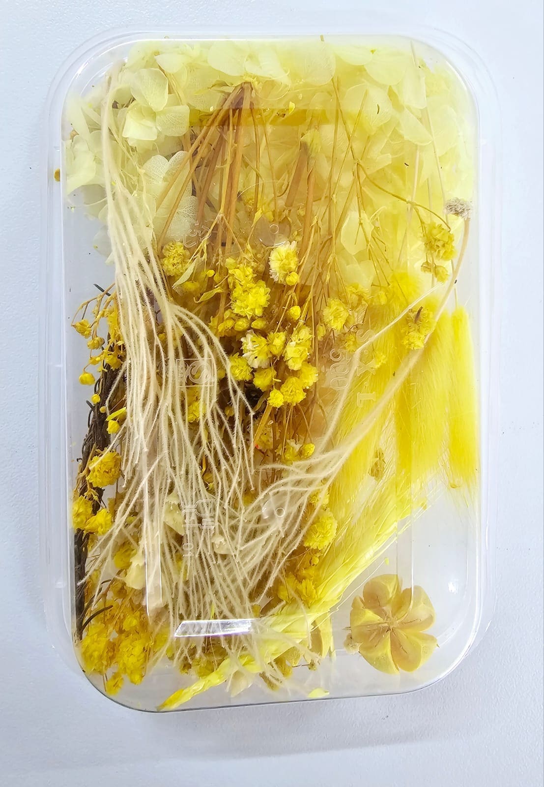 DF4B Epoxy, Soap & Candle Art : Dried Flowers Dried (DF4)
