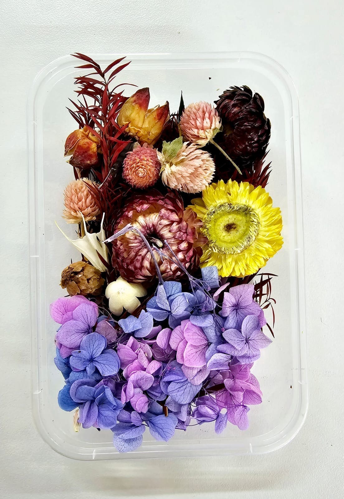 DF5A Epoxy, Soap & Candle Art : Dried Flowers (DF5)
