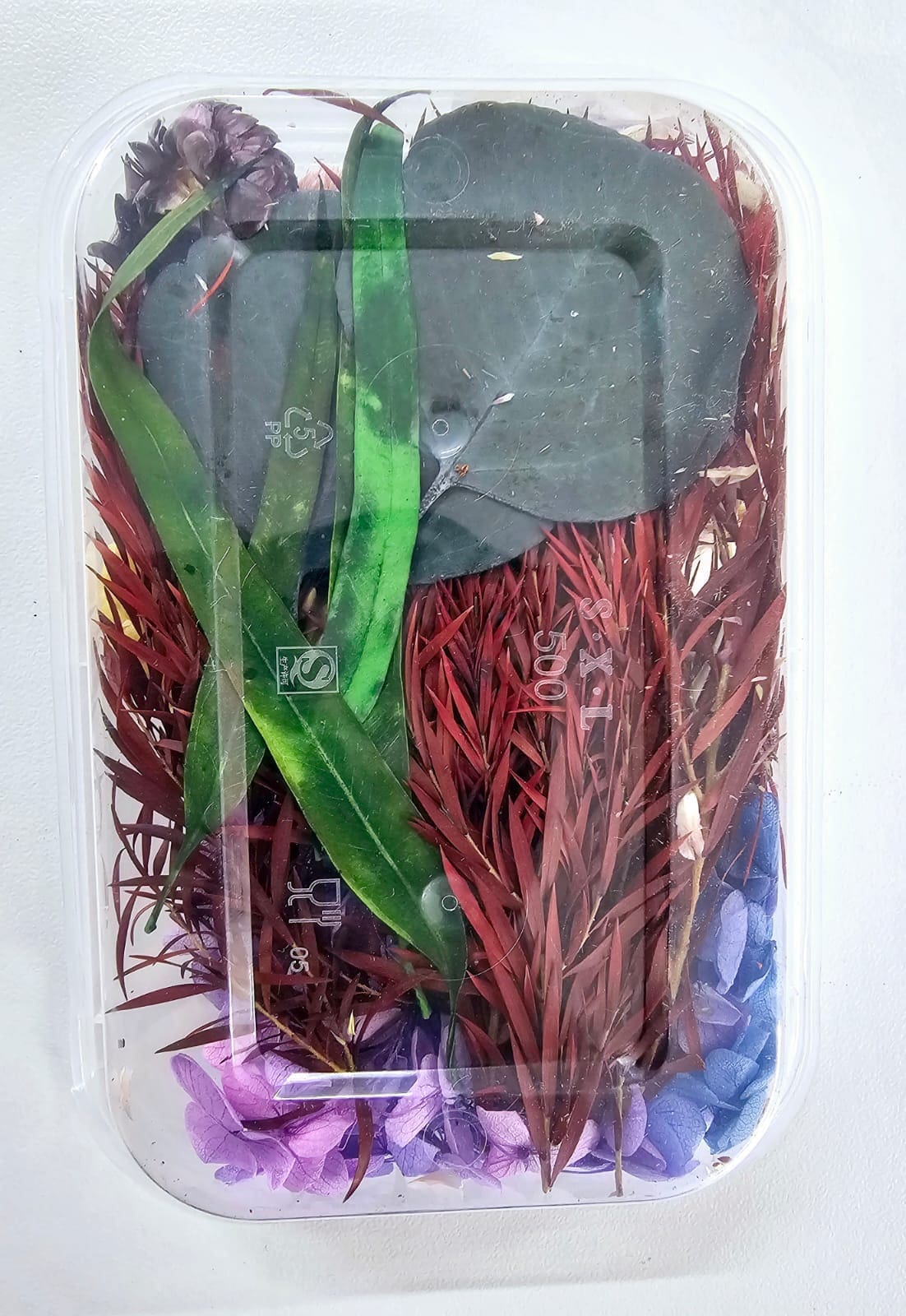 DF5B Epoxy, Soap & Candle Art : Dried Flowers (DF5)