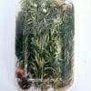 DF6B Epoxy, Soap & Candle Art : Dried Flowers (DF6)