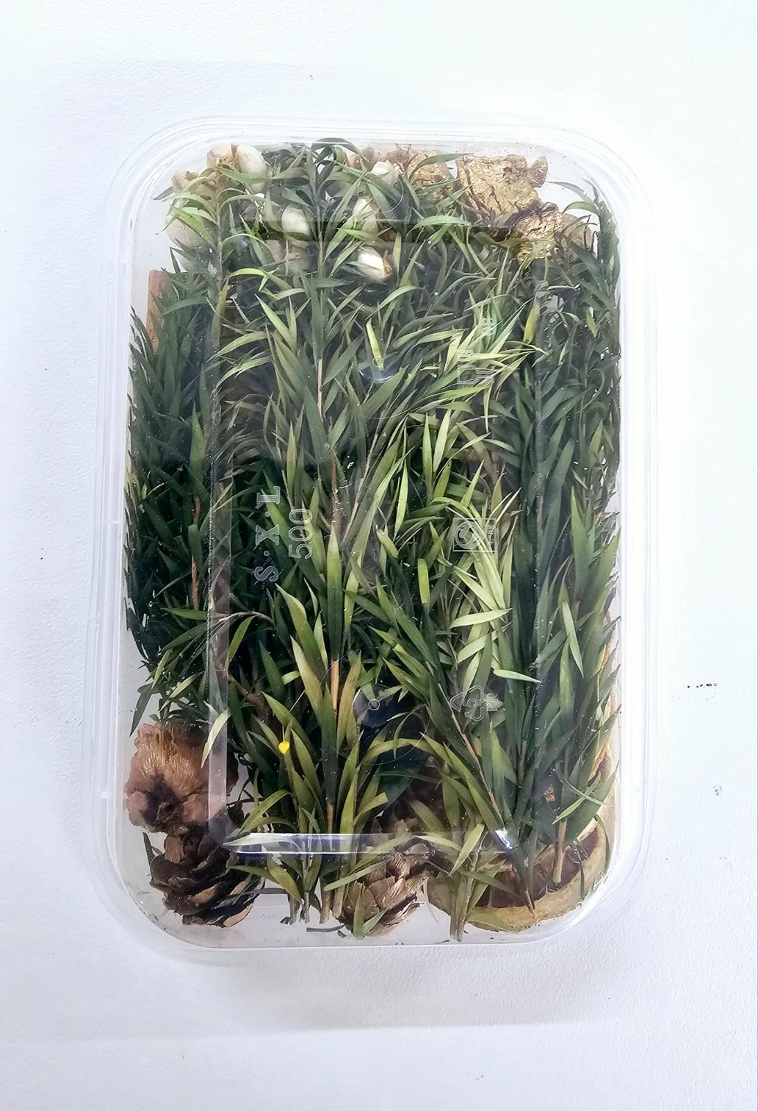 DF6B Epoxy, Soap & Candle Art : Dried Flowers (DF6)