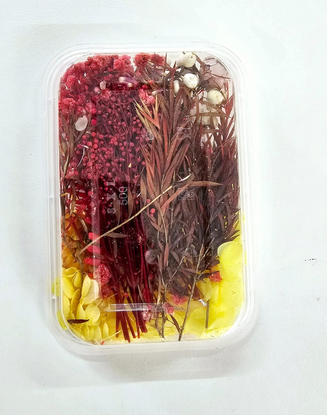 DF7B Epoxy, Soap & Candle Art : Dried Flowers (DF7)