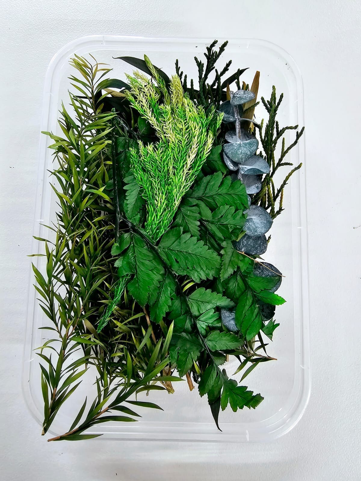 DF9A Epoxy, Soap & Candle Art : Dried Flowers (DF9)