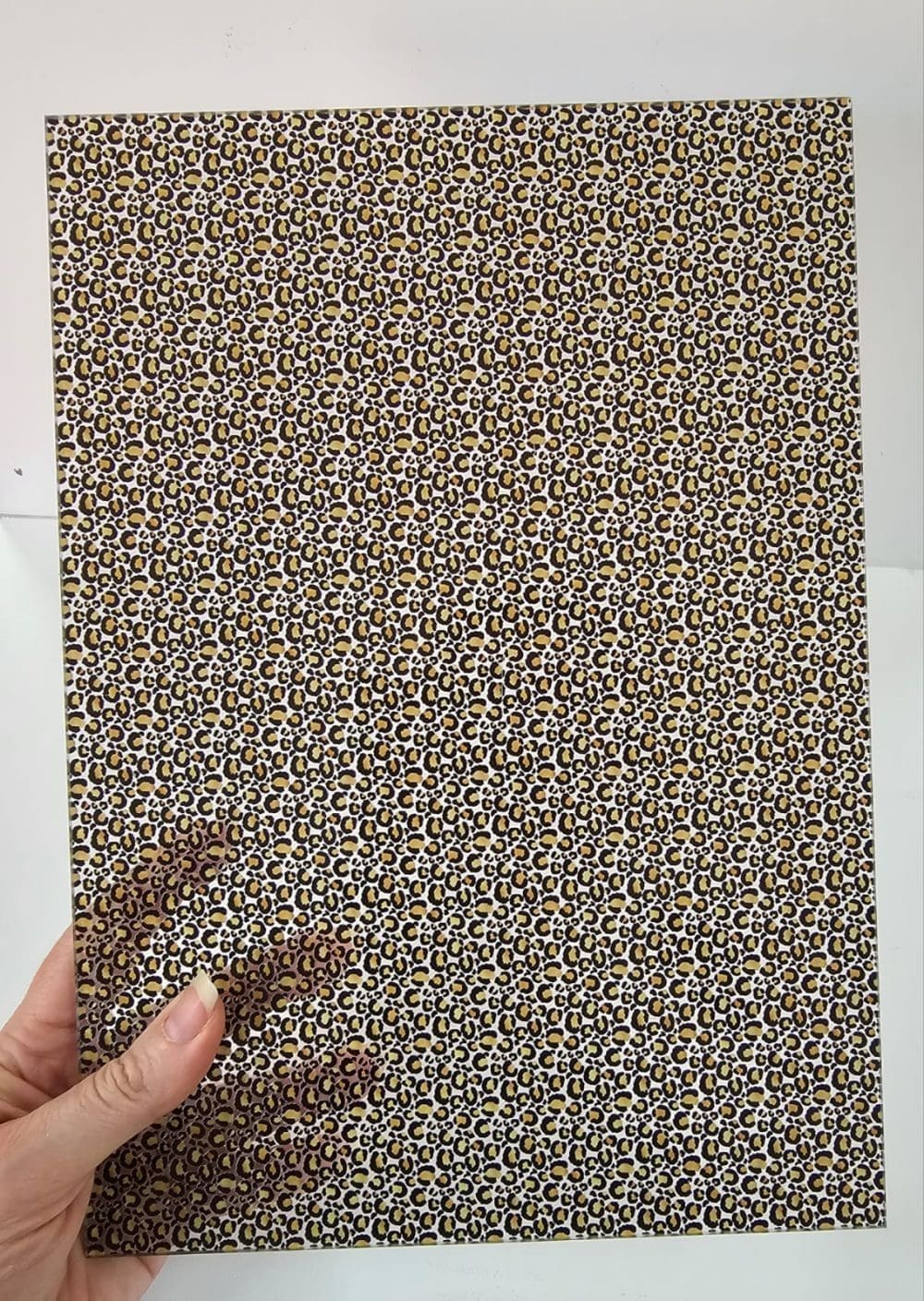 A4 Lepoard Print 01 SS Reverse Print on CLEAR FRONT b Acrylic Blanks : Patterned LEOPARD PRINT 04 Clear Boards (A6, A5, A4, 30 by 30cm, A3 Single Sided Only)