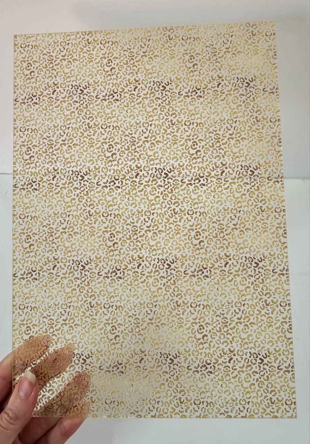 A4 Lepoard Print 01 SS Reverse Print on CLEAR FRONTa Acrylic Blanks : Patterned LEOPARD PRINT 02 Clear Boards (A6, A5, A4, 30 by 30cm, A3 Single Sided Only)