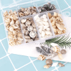1124 ShellsConatiner Resin Supplies : Natural Seashells in Box