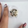Shell Star Small2 Resin Supplies : Mini Shell Conch Natural Set in Round container
