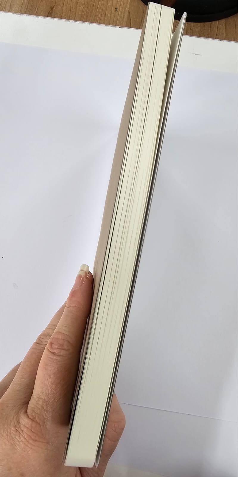 Sublimation Blanks : Replacement books for PU Leather Notebooks