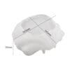 Silicone Moulds : (5) Conch/Shell (Type 2) Container Silicone Moulds for Candle, Jesmonite & Resin Art