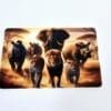 Technology : White Credit Card USB Drive, 8gigs (Blank or UV Print)