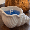 Silicone Moulds : Conch Shell Silicone Mould (Csea1)