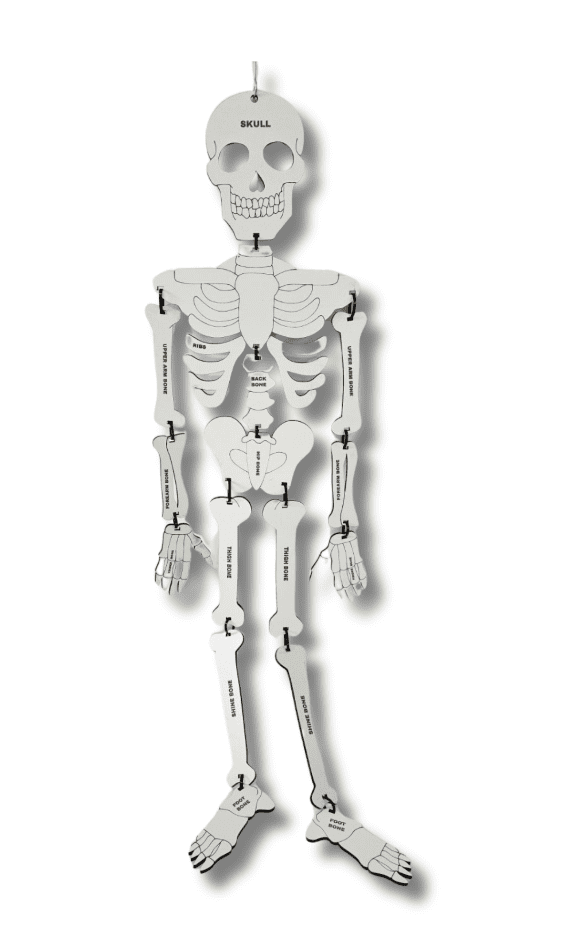 Laser Character Cut Out : Skelly the Skeleton (SK1)