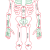 Laser Character Cut Out : Skelly the Skeleton (SK1)