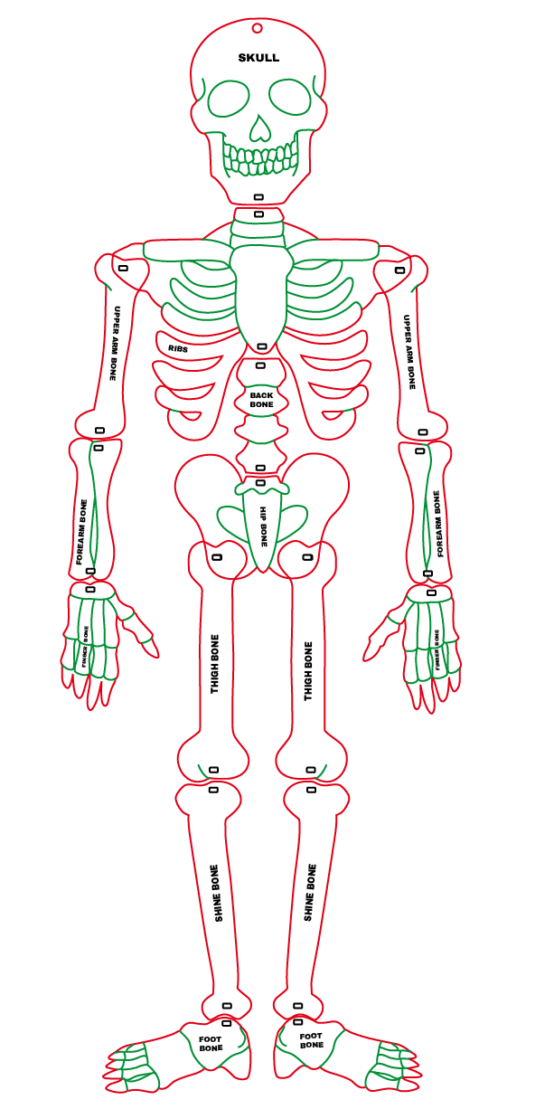 Laser Character Cut Out : Skelly the Skeleton (SK1)