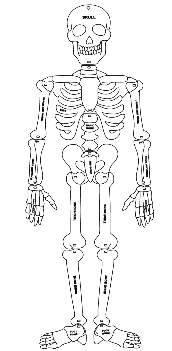 Laser Character Cut Out : Skelly the Skeleton (SK1)